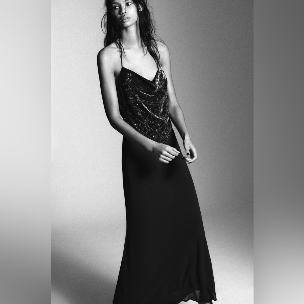 Elegant  Embellished Zara dress NWT size S bloggers favorite